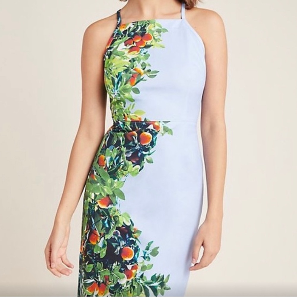 Anthropologie X Maeve orange bough dress